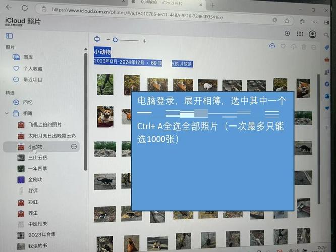 硬盘底座读取苹果硬盘？这些操作步骤及必备条件要知晓