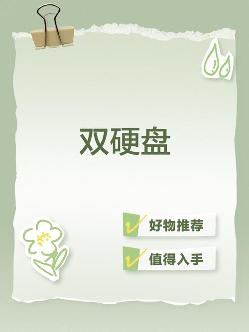 双碟装硬盘实用优势尽显，并行读写提升存储与效率  第10张