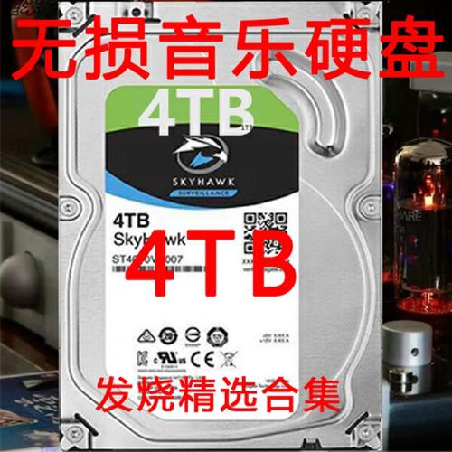 现代生活中内存、硬盘及音乐的重要地位，逐一深入探讨  第5张