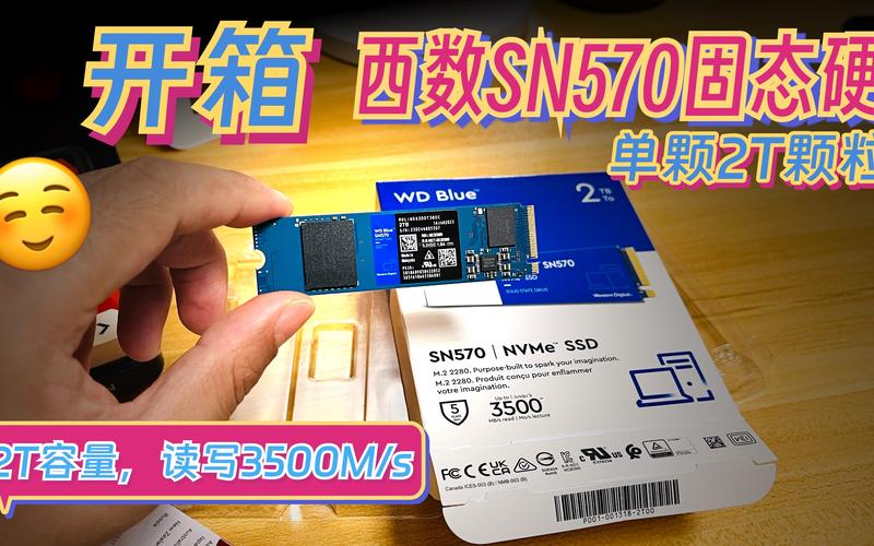 西数雷电口硬盘：高性能存储设备，多方面特性详解