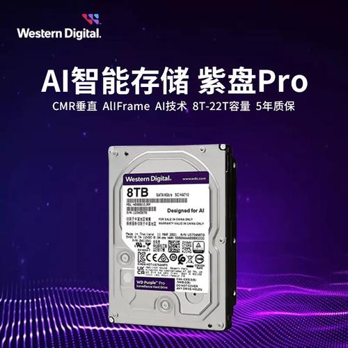 西部数据紫盘：监控系统存储佳选，数据安全又稳定  第5张