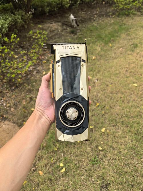 英伟达GTX Titan专业显卡：性能卓越，满足专业与游戏需求  第4张