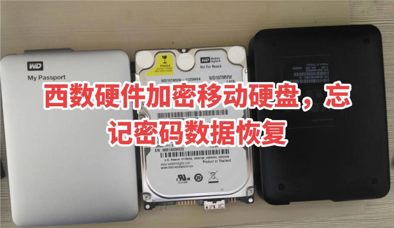 移动硬盘自加密：保障数据安全的关键，你了解多少？