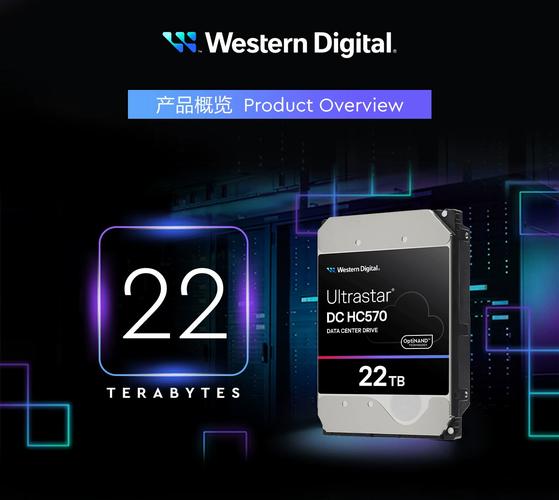 西部数据硬盘容量多样，满足不同需求，专业存储表现卓越  第4张