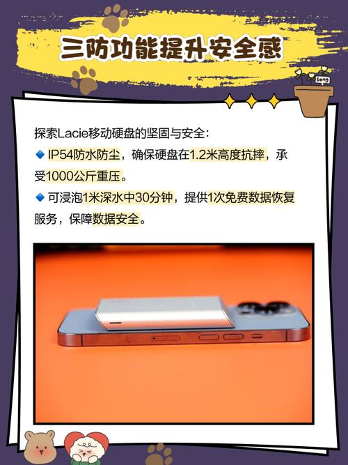 Lacie 1394移动硬盘：性能卓越、设计独特，你了解多少？  第9张