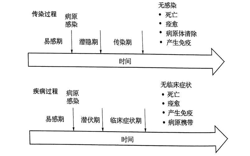 硬盘中文件隐藏不一定是病毒？常见病毒类型及传播途径分析  第10张