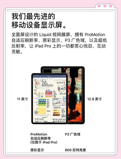 iPad Pro连接外部硬盘提升存储与效能，这些要点要知道  第3张