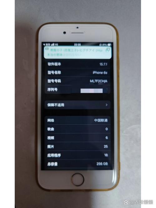 苹果6s硬盘运行速度有多快？顺序读取速度表现优异  第2张