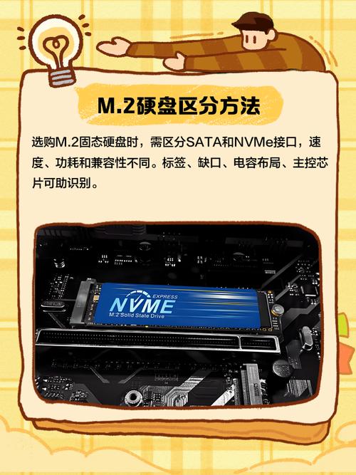 新购固态硬盘容量仅2MB？这究竟是怎么回事？  第6张