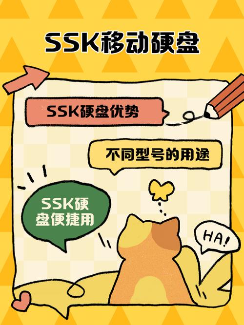 使用SSK移动硬盘存储速度慢？多方面原因及解决措施探讨  第8张