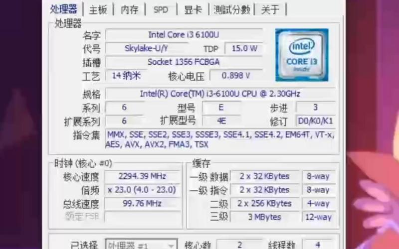 选择i3 6100处理器，搭配固态硬盘与否需全面考量？