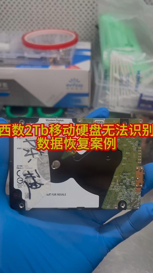 西部数据2TB移动硬盘盘符不显示？多维度剖析原因与解决办法  第2张