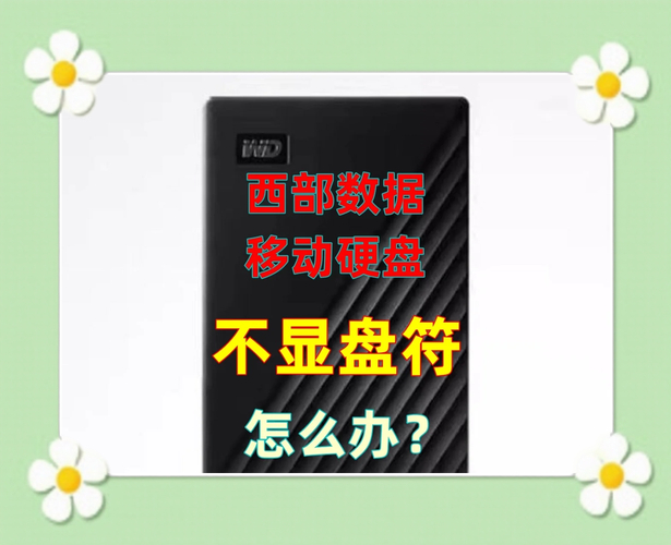 西部数据2TB移动硬盘盘符不显示？多维度剖析原因与解决办法  第6张