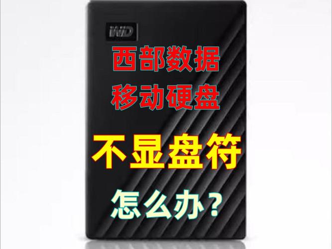 西部数据2TB移动硬盘盘符不显示？多维度剖析原因与解决办法  第9张
