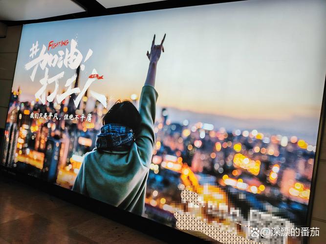 上海硬盘人：怀揣梦想于城市边缘拼搏，努力扎根  第3张