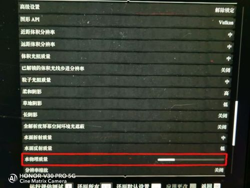 提升荒野大镖客GTX显卡画面流畅度？这些操作技巧请查收  第5张