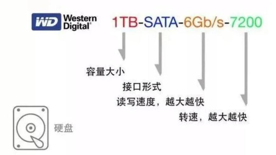 平面设计领域硬盘作用关键，容量选择及重要性详述  第3张
