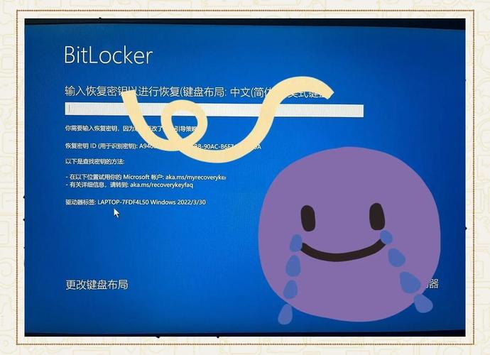 硬盘加密头疼？别慌！先确认方式再找密钥应对之策来啦
