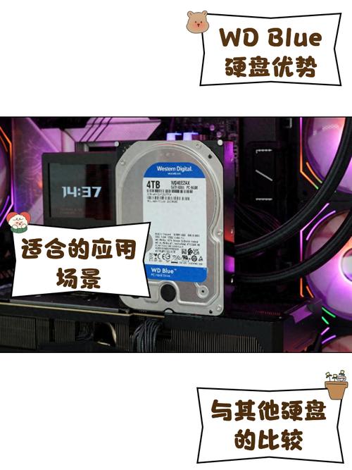 WD硬盘查询攻略：官网查询的方法、优势及可能遇到的麻烦？  第3张