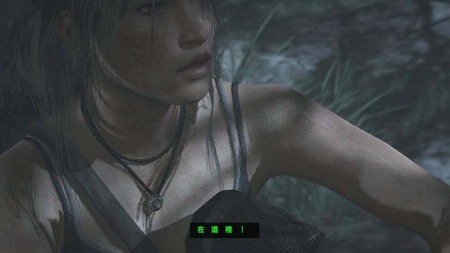 英伟达GTX680与古墓丽影9结合，如何影响游戏体验？  第2张