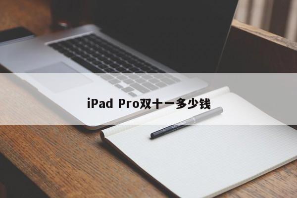 iPad Pro双十一多少钱  第1张