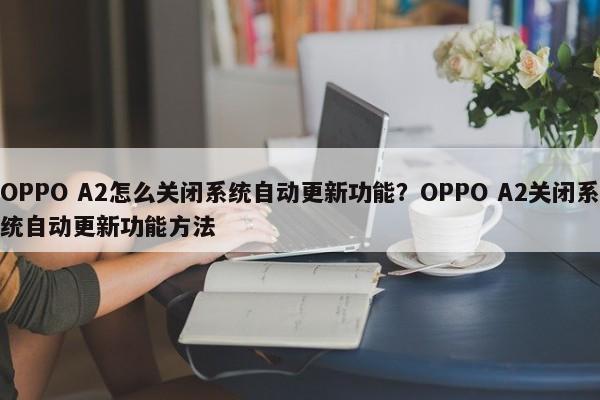 OPPO A2怎么关闭系统自动更新功能？OPPO A2关闭系统自动更新功能方法
